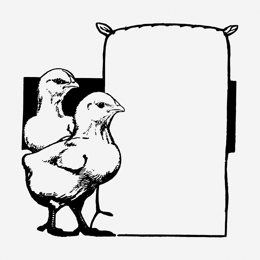 Chicken frame vintage illustration. Free public domain CC0 image.