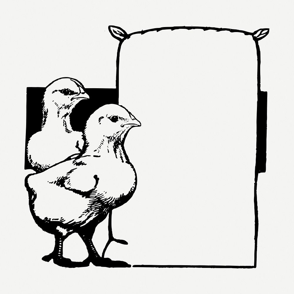 Chicken frame drawing, vintage illustration psd. Free public domain CC0 image.