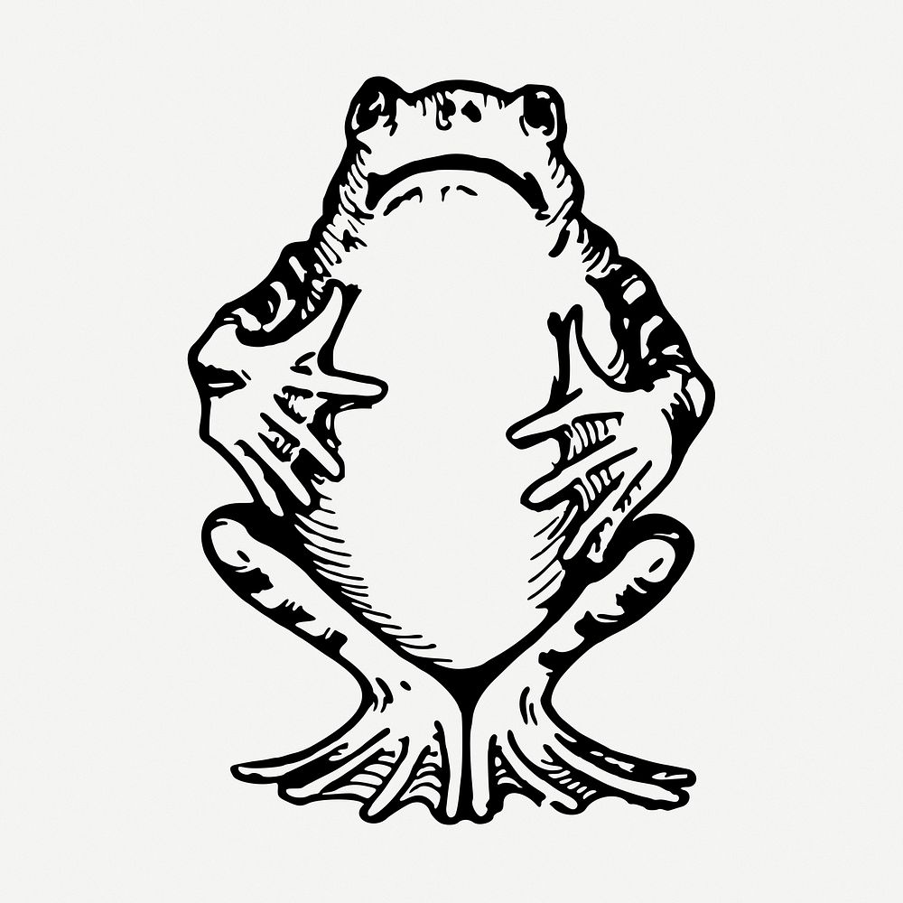 Frog animal drawing, vintage illustration psd. Free public domain CC0 image.