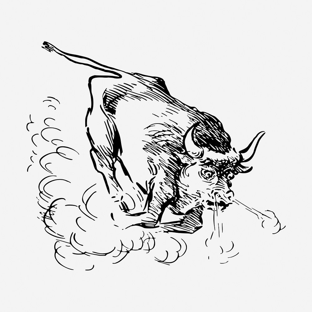 Angry bull vintage illustration. Free public domain CC0 image.