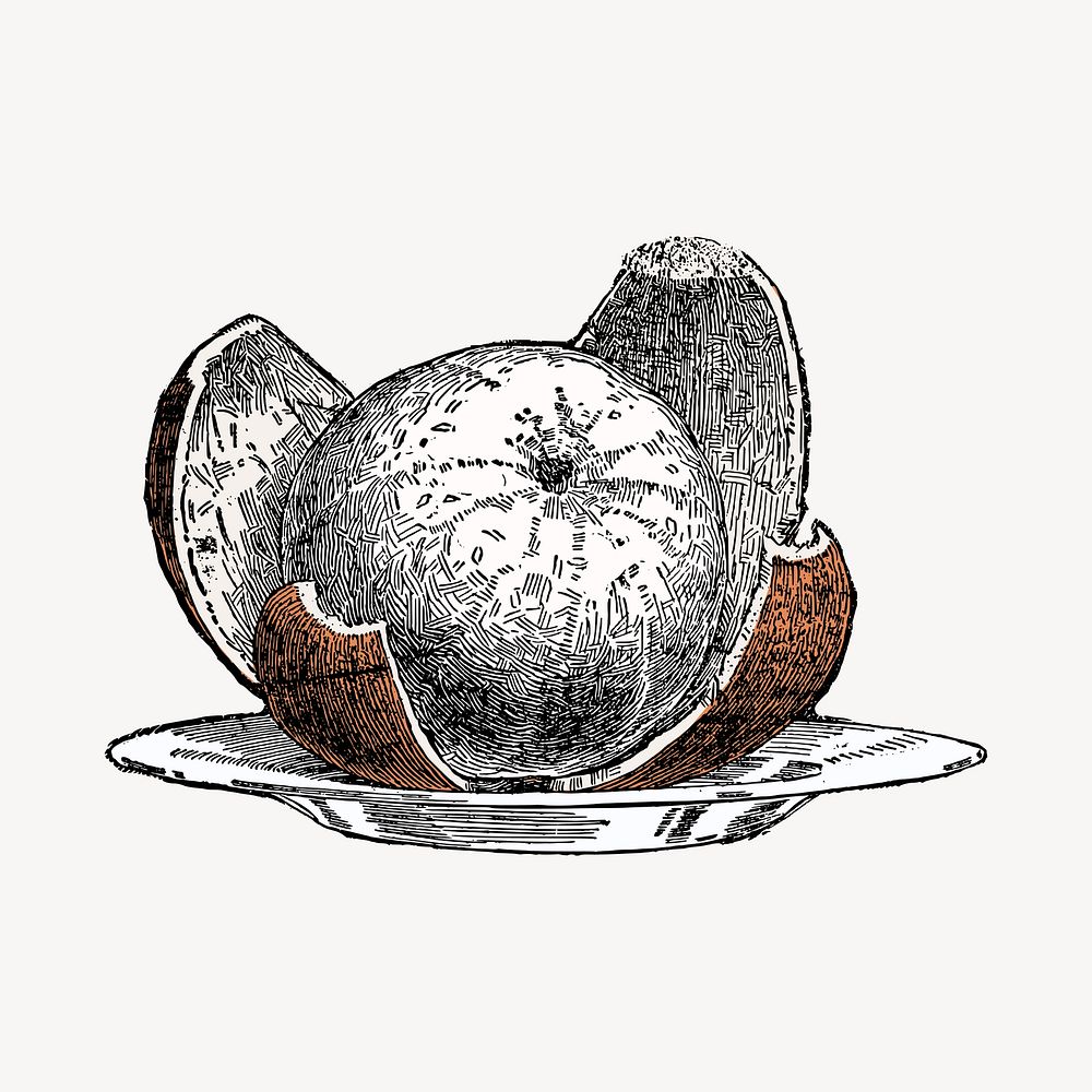 Peeled orange clipart, vintage hand drawn vector. Free public domain CC0 image.