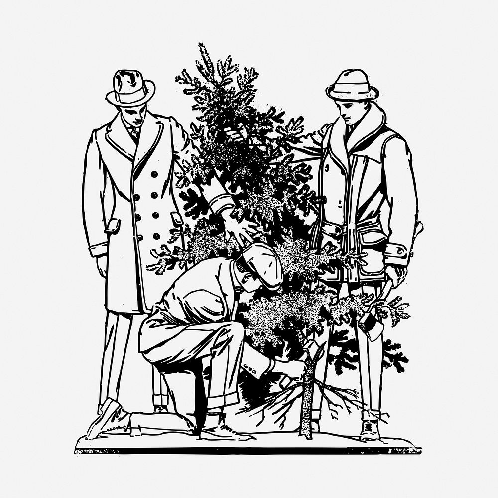 Cutting Christmas tree vintage illustration. Free public domain CC0 image.