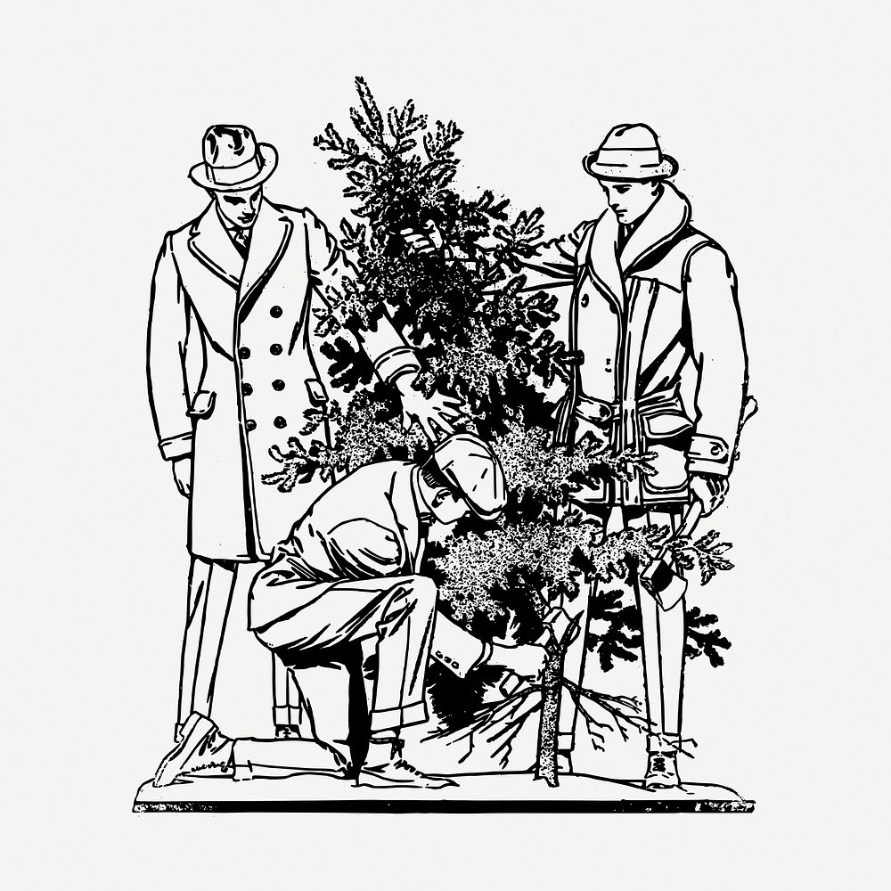 Cutting Christmas tree drawing, vintage illustration psd. Free public domain CC0 image.