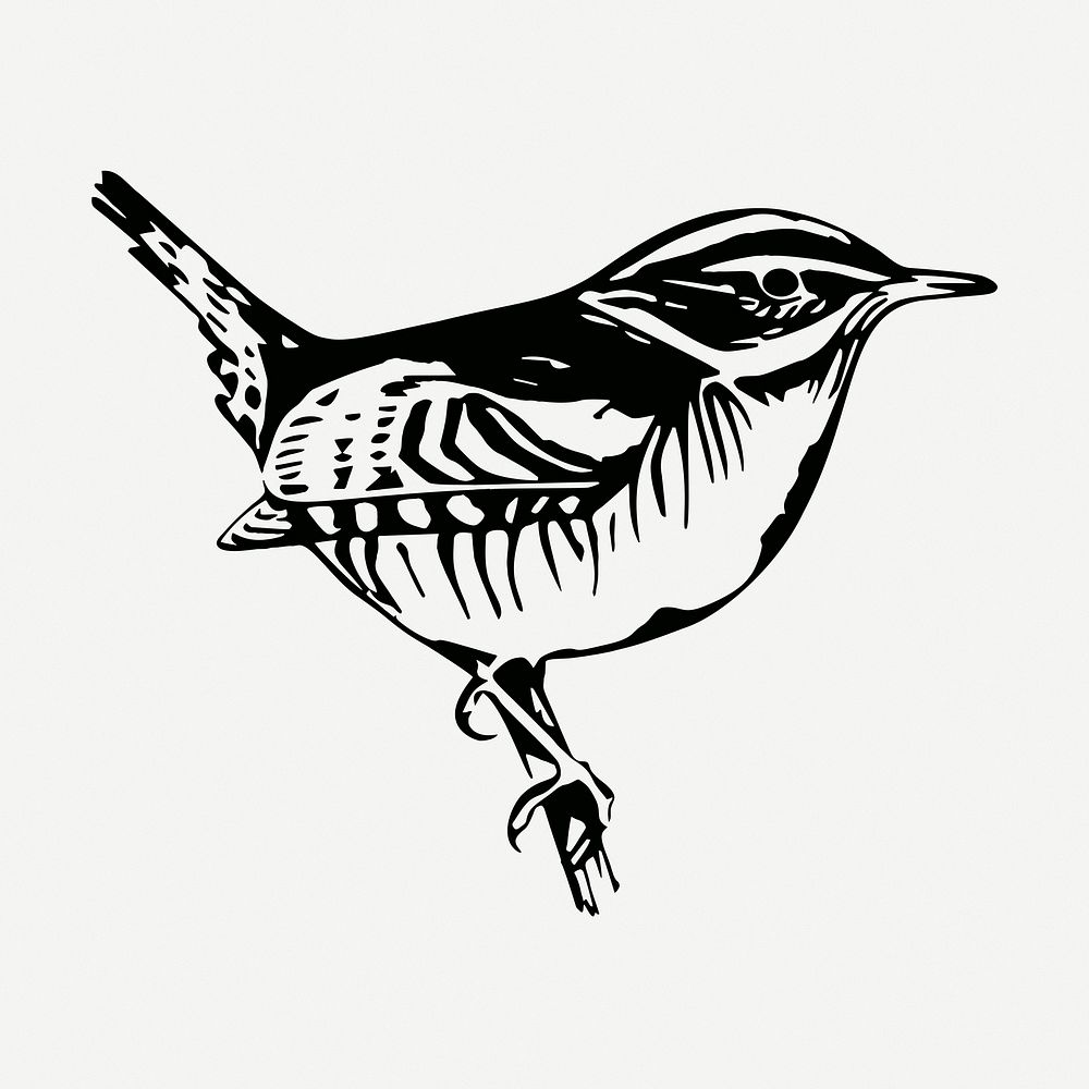 Perched bird drawing, vintage illustration psd. Free public domain CC0 image.