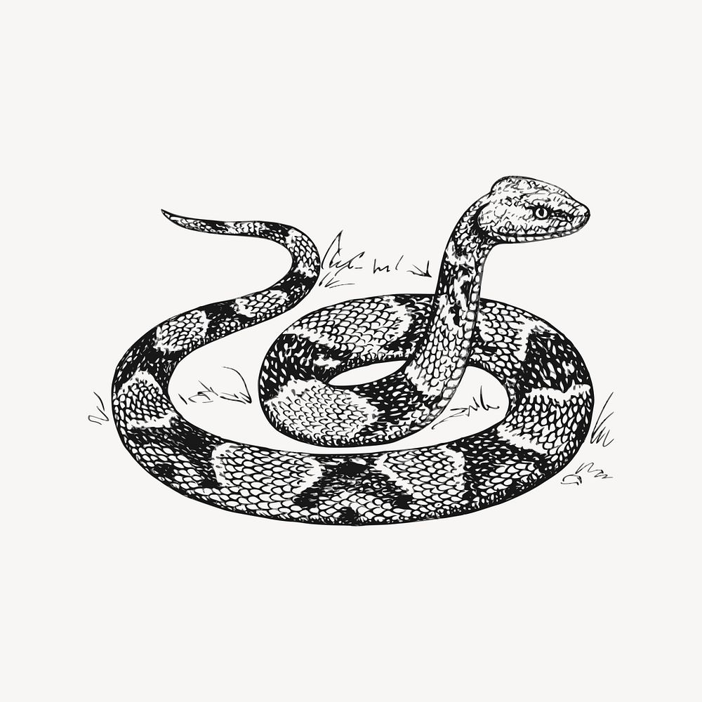 Copperhead snake clipart, drawing illustration vector. Free public domain CC0 image.