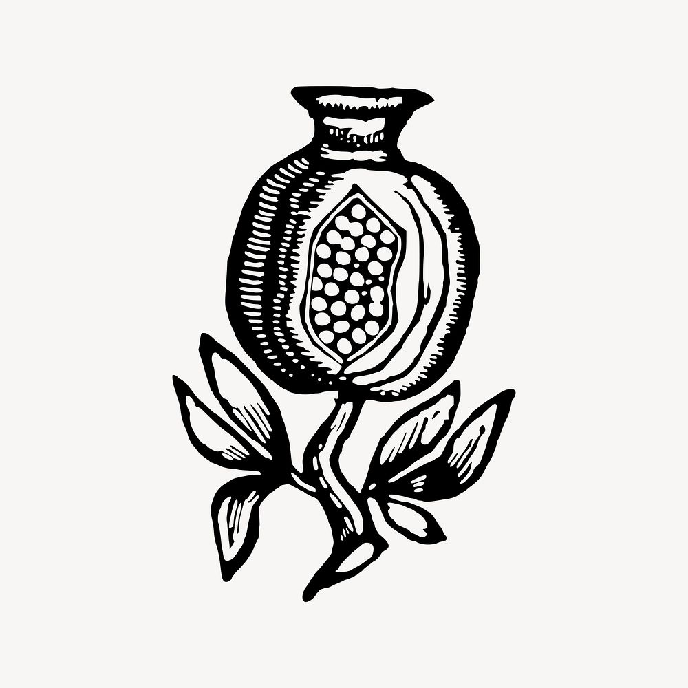 Pomegranate clipart, drawing illustration vector. Free public domain CC0 image.