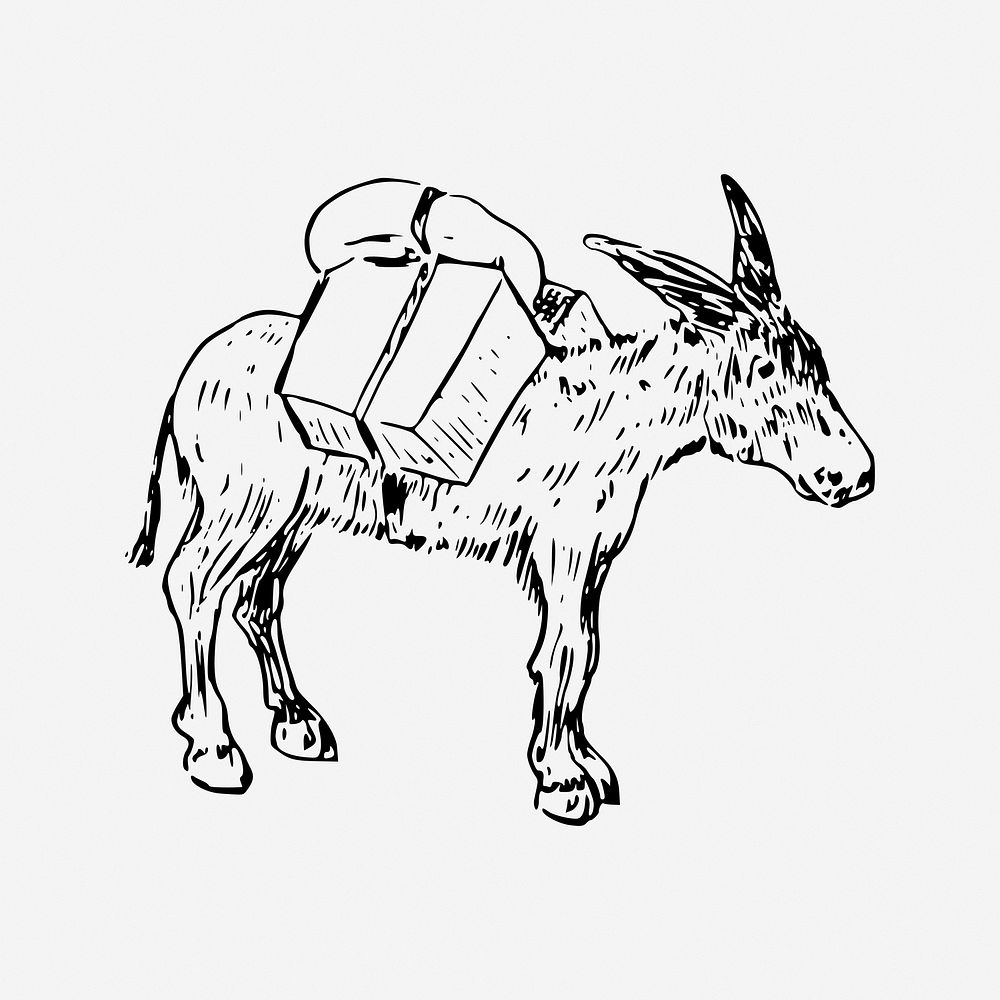 Donkey with luggage, drawing illustration. Free public domain CC0 image.