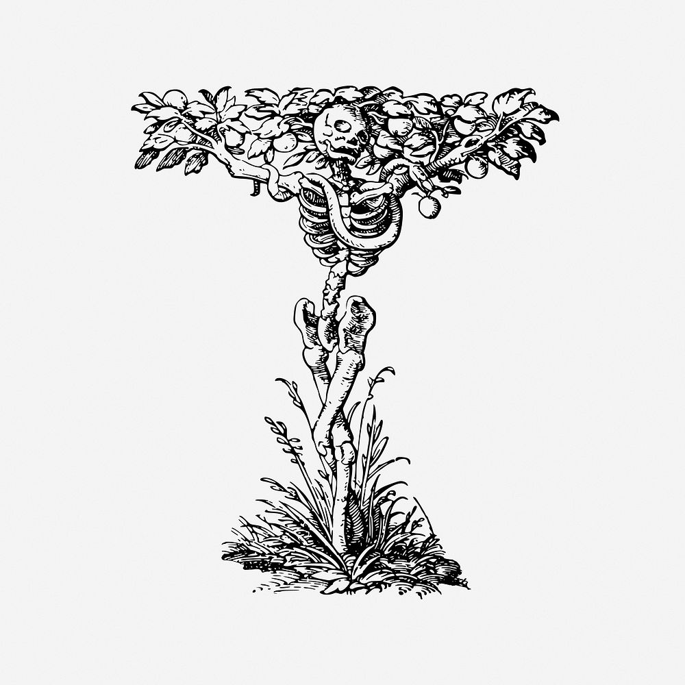 Skeleton tree, drawing illustration. Free public domain CC0 image.