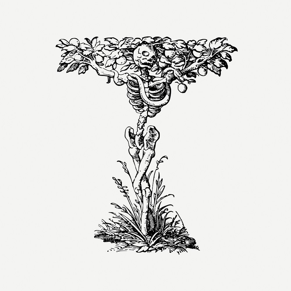 Skeleton tree collage element, vintage illustration psd. Free public domain CC0 image.