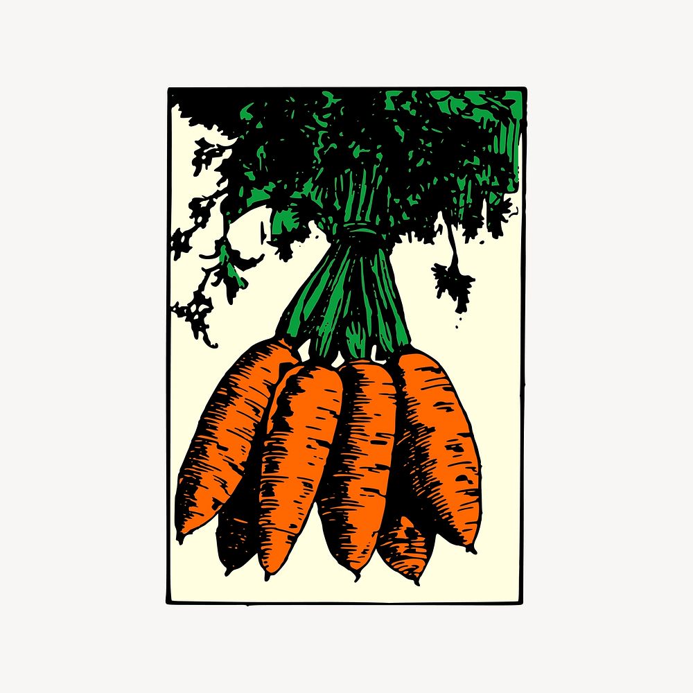 Carrot clipart, drawing illustration vector. Free public domain CC0 image.