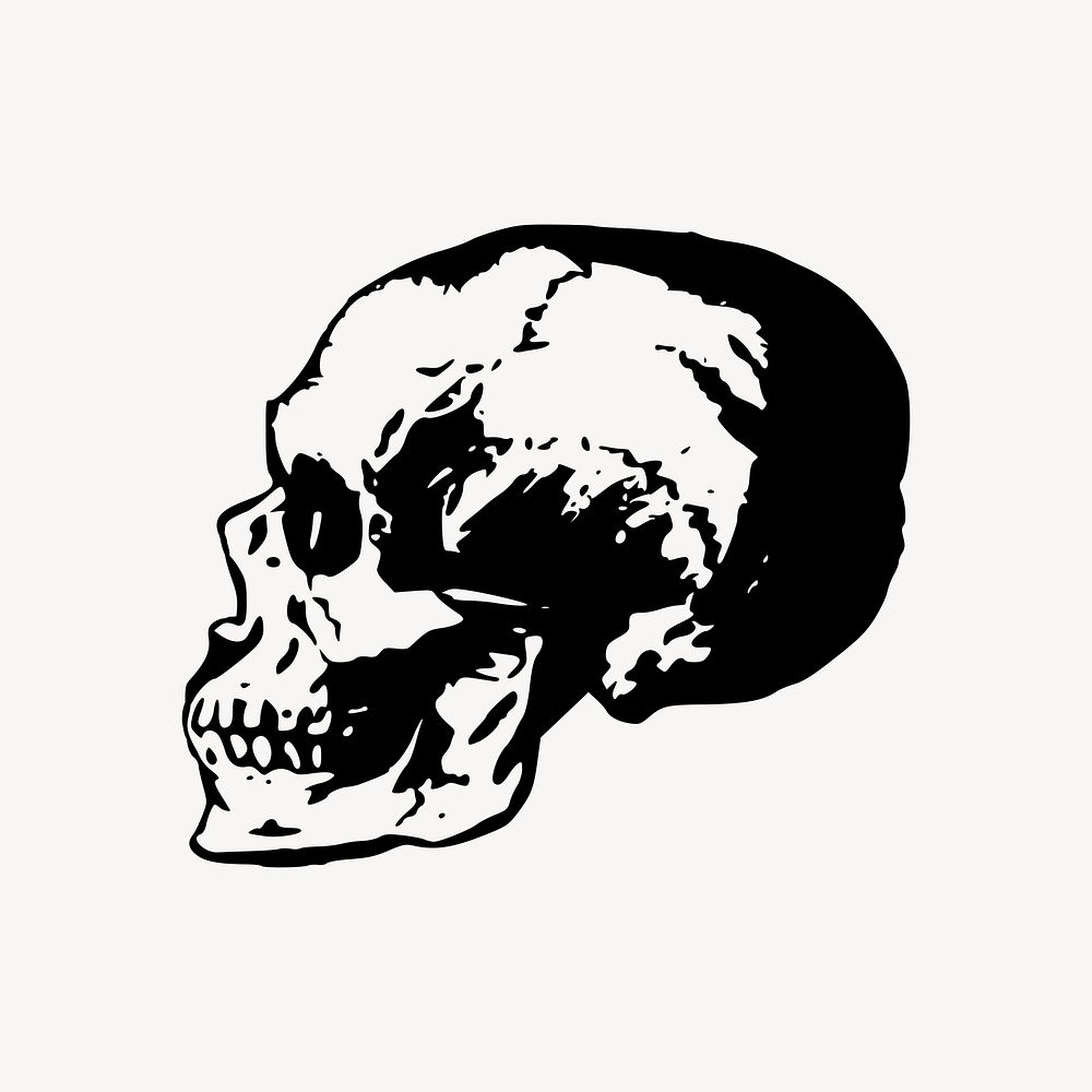 Side skull clipart, drawing illustration vector. Free public domain CC0 image.