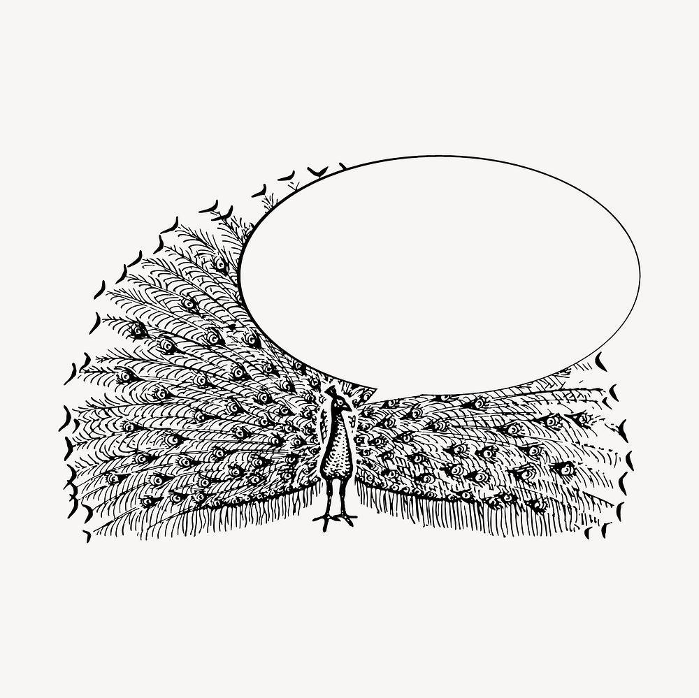 Peacock speech bubble clipart, drawing illustration vector. Free public domain CC0 image.