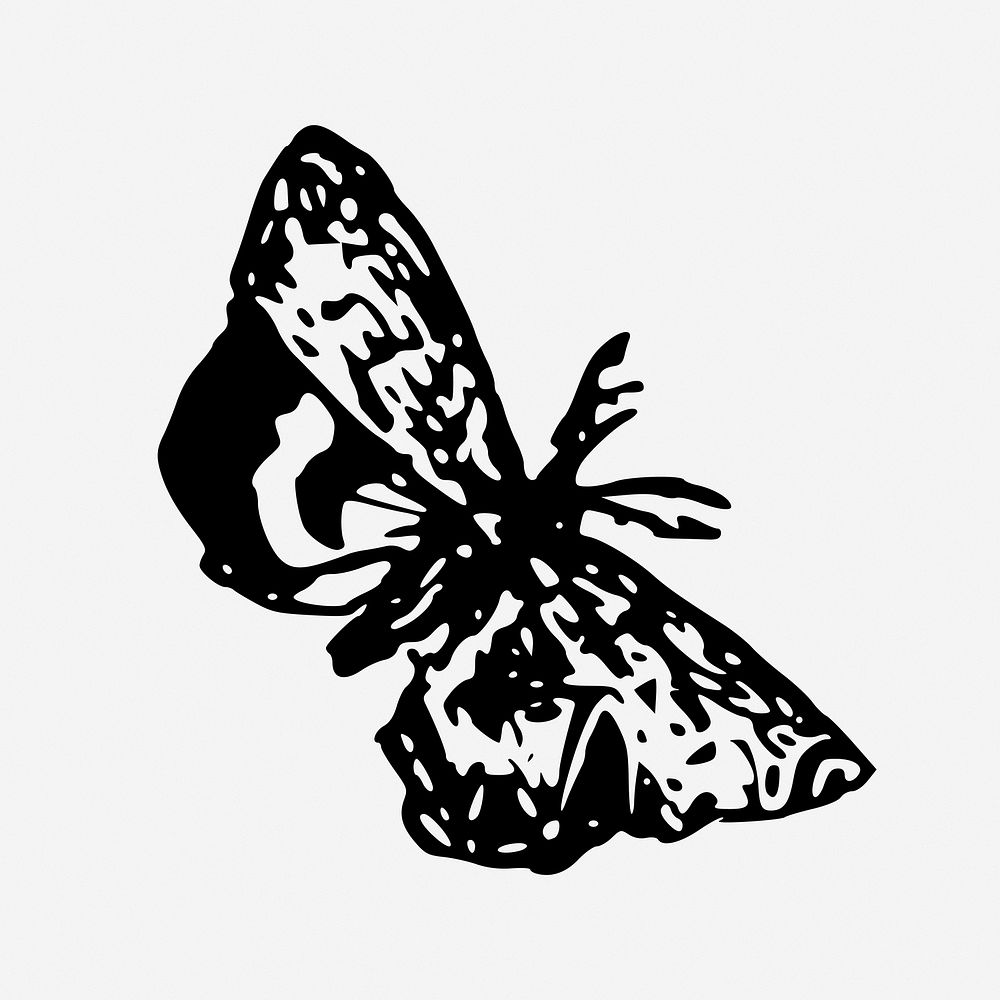 Butterfly, drawing illustration. Free public domain CC0 image.