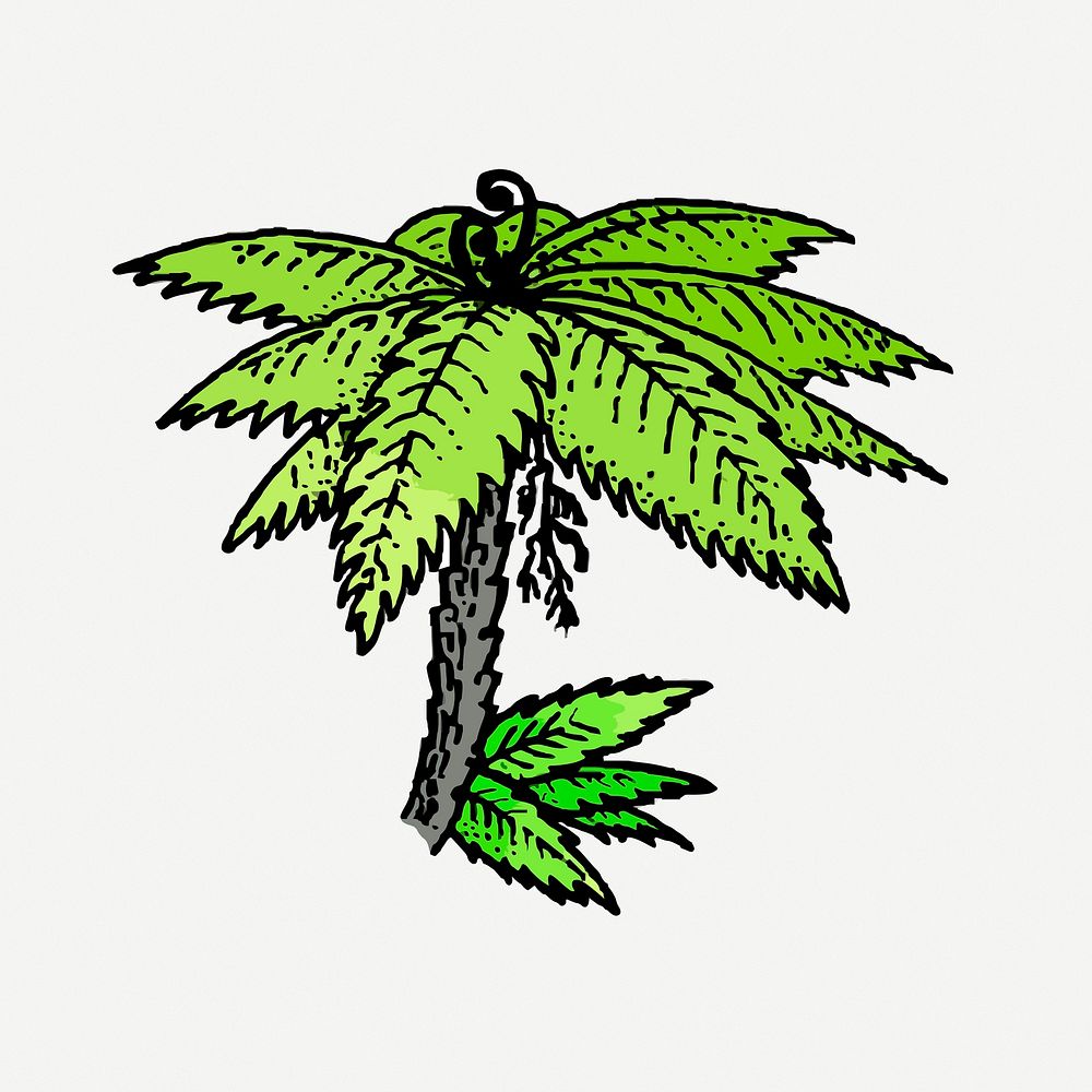 Tree fern drawing, vintage illustration psd. Free public domain CC0 image.