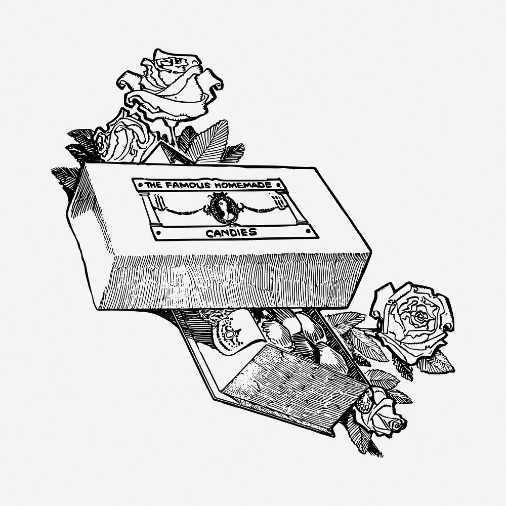 Valentine's gift, rose drawing, vintage illustration. Free public domain CC0 image.