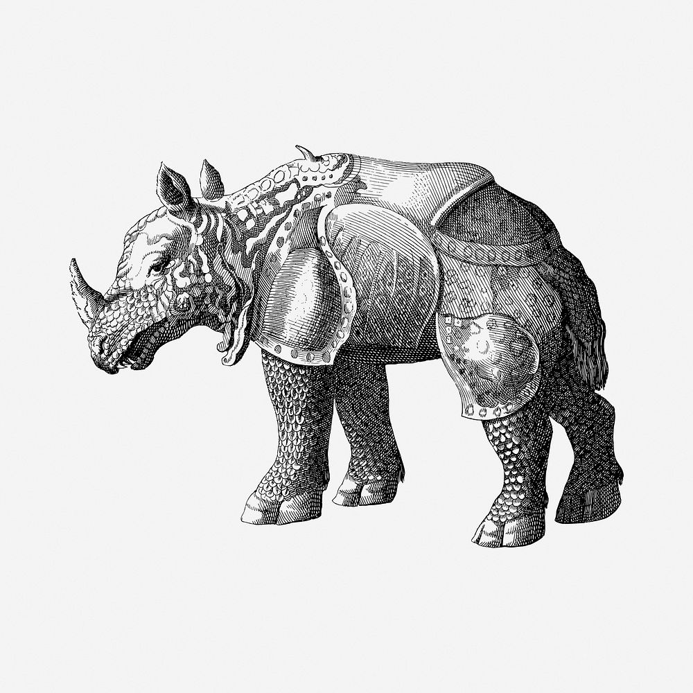 Rhinoceros armor drawing, vintage illustration. Free public domain CC0 image.