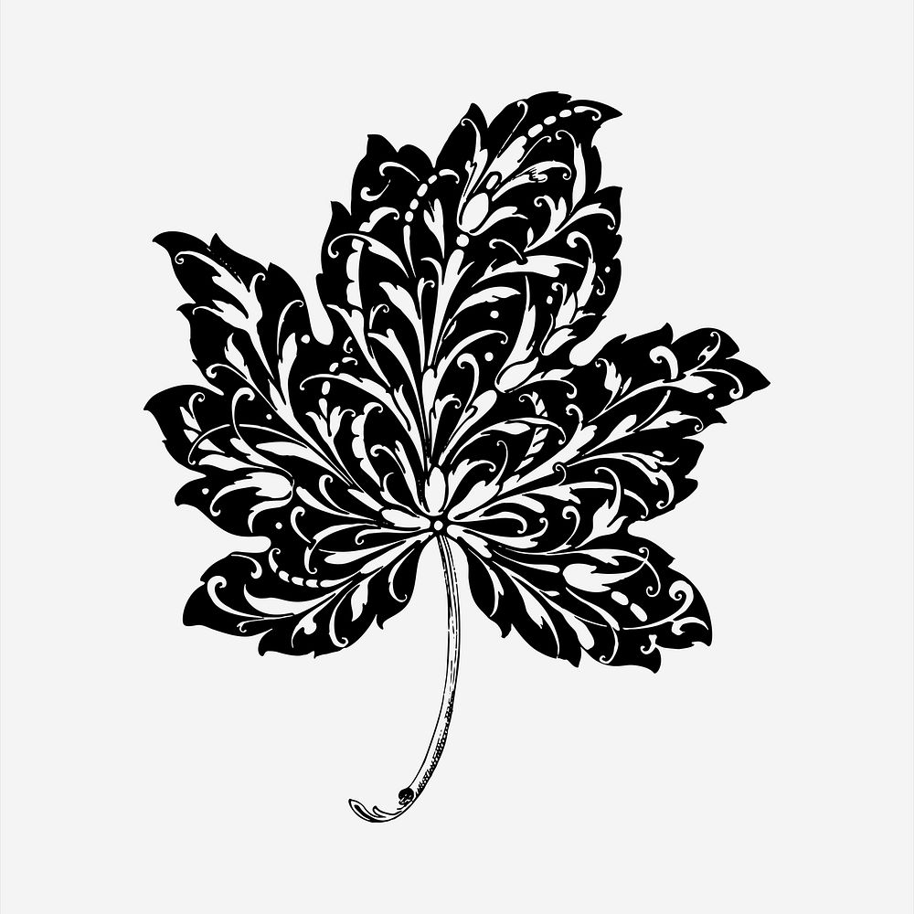 Leaf  clipart, vintage hand drawn vector. Free public domain CC0 image.
