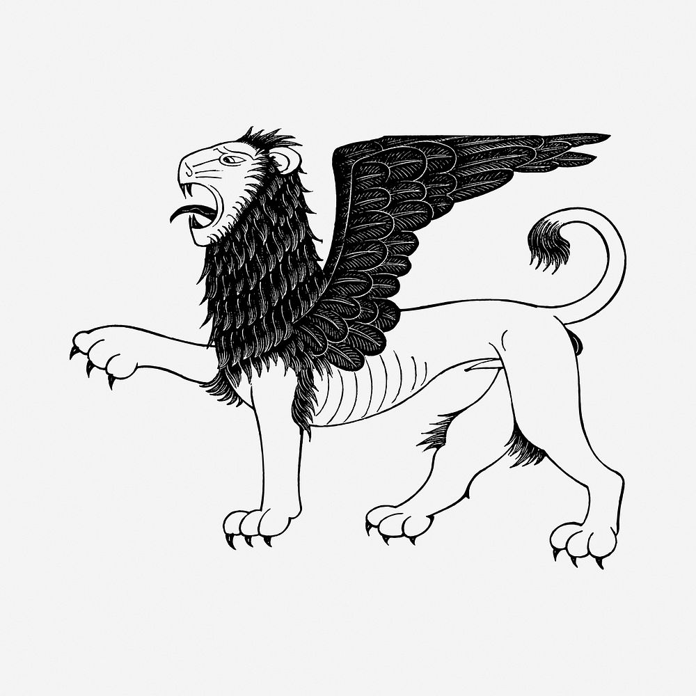 Mythical lion drawing, vintage illustration. Free public domain CC0 image.