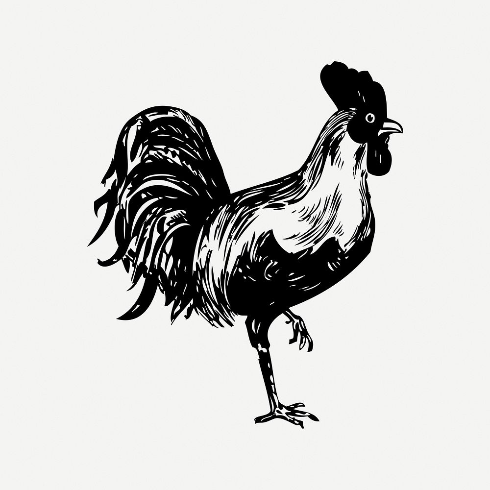 Chicken clipart, vintage illustration psd. Free public domain CC0 image.