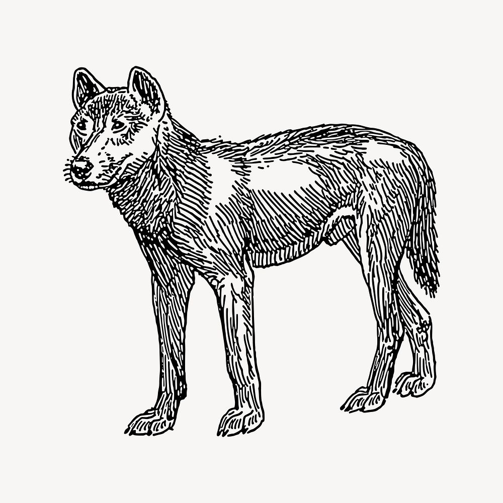 Dog collage element, drawing illustration vector. Free public domain CC0 image.