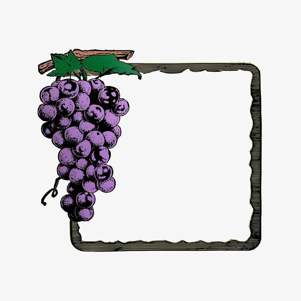 Grapes frame collage element, drawing illustration vector. Free public domain CC0 image.