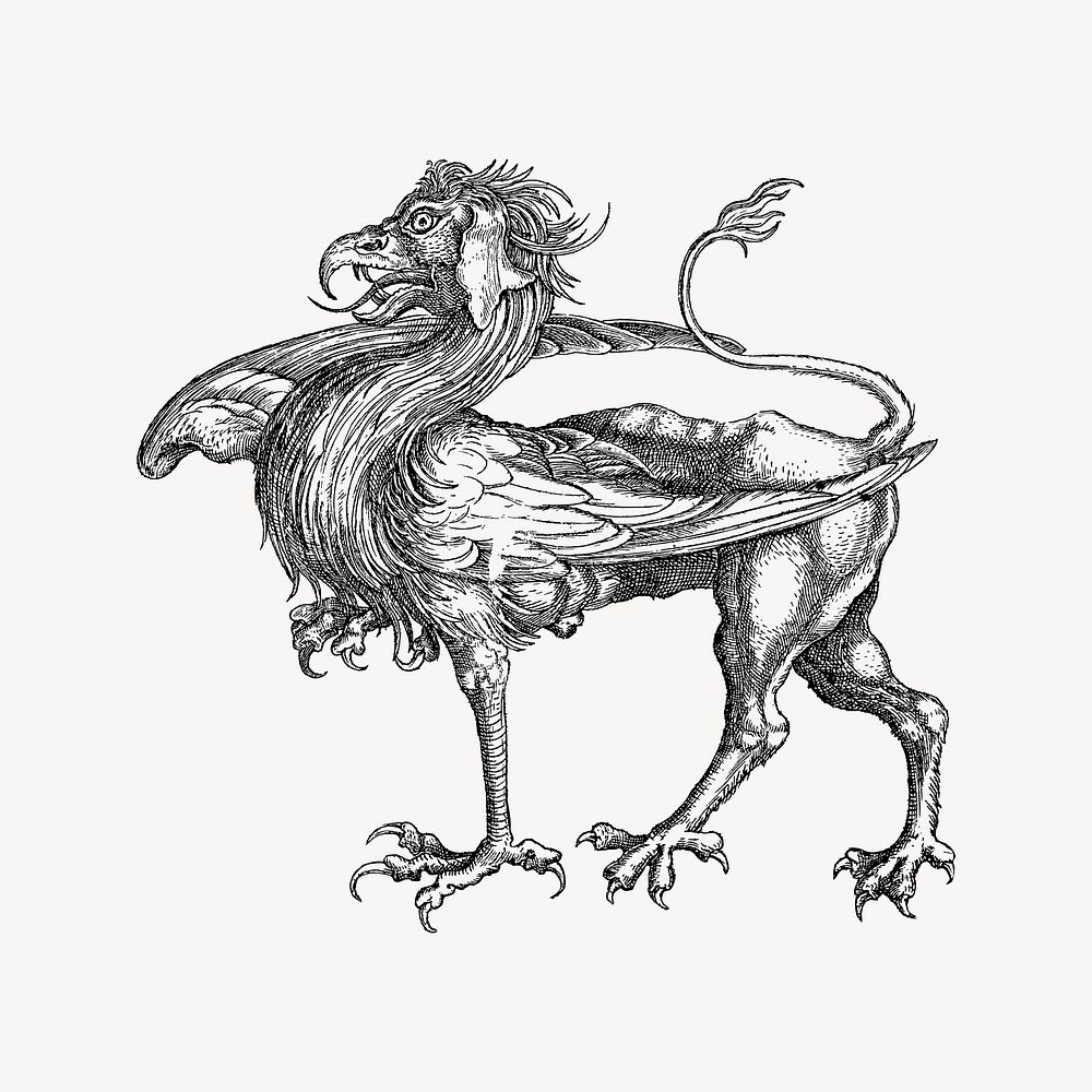 Griffin collage element, drawing illustration vector. Free public domain CC0 image.