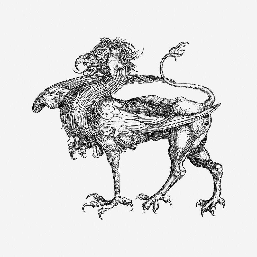 Griffin clipart, vintage illustration psd. Free public domain CC0 image.