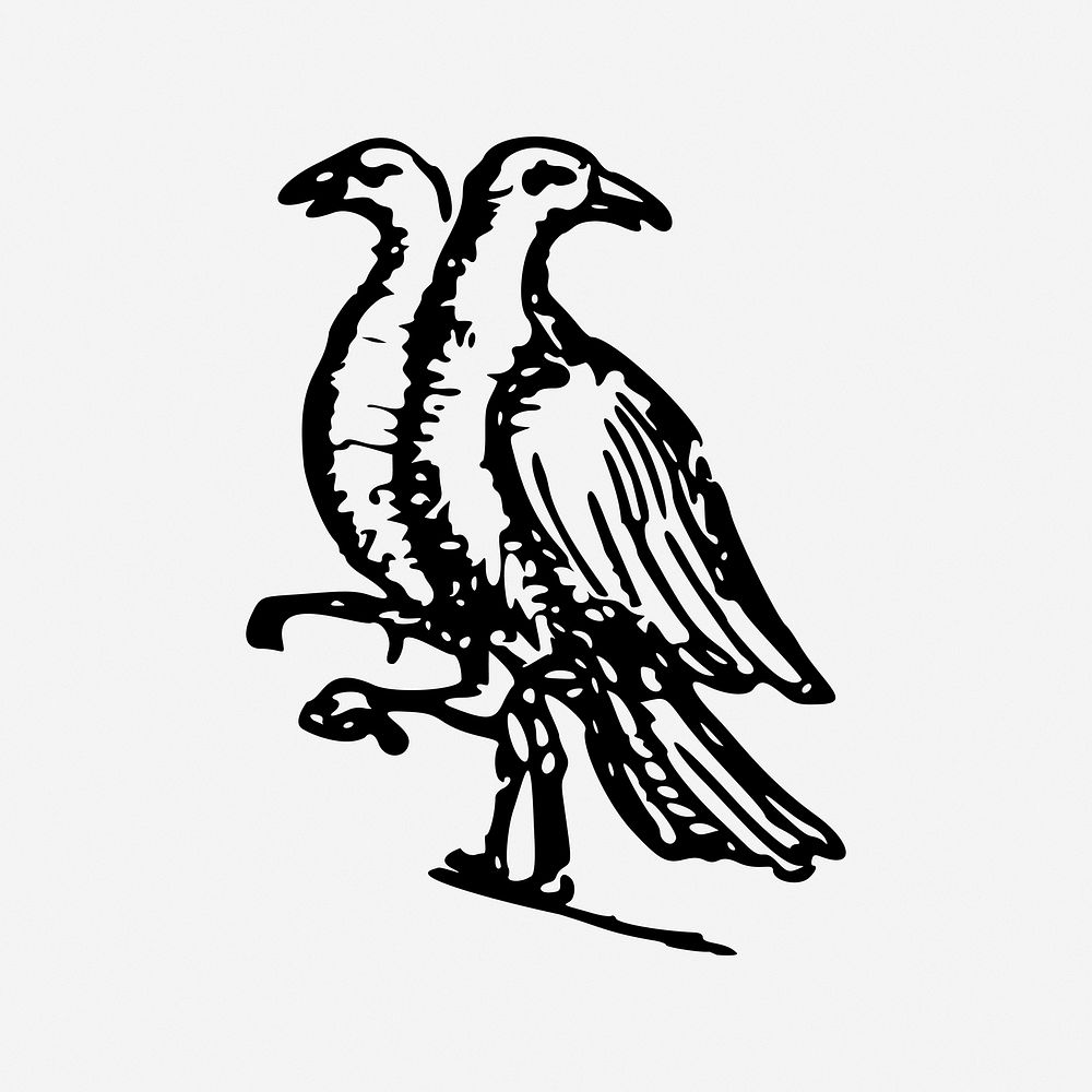 Birds, vintage drawing illustration. Free public domain CC0 image.