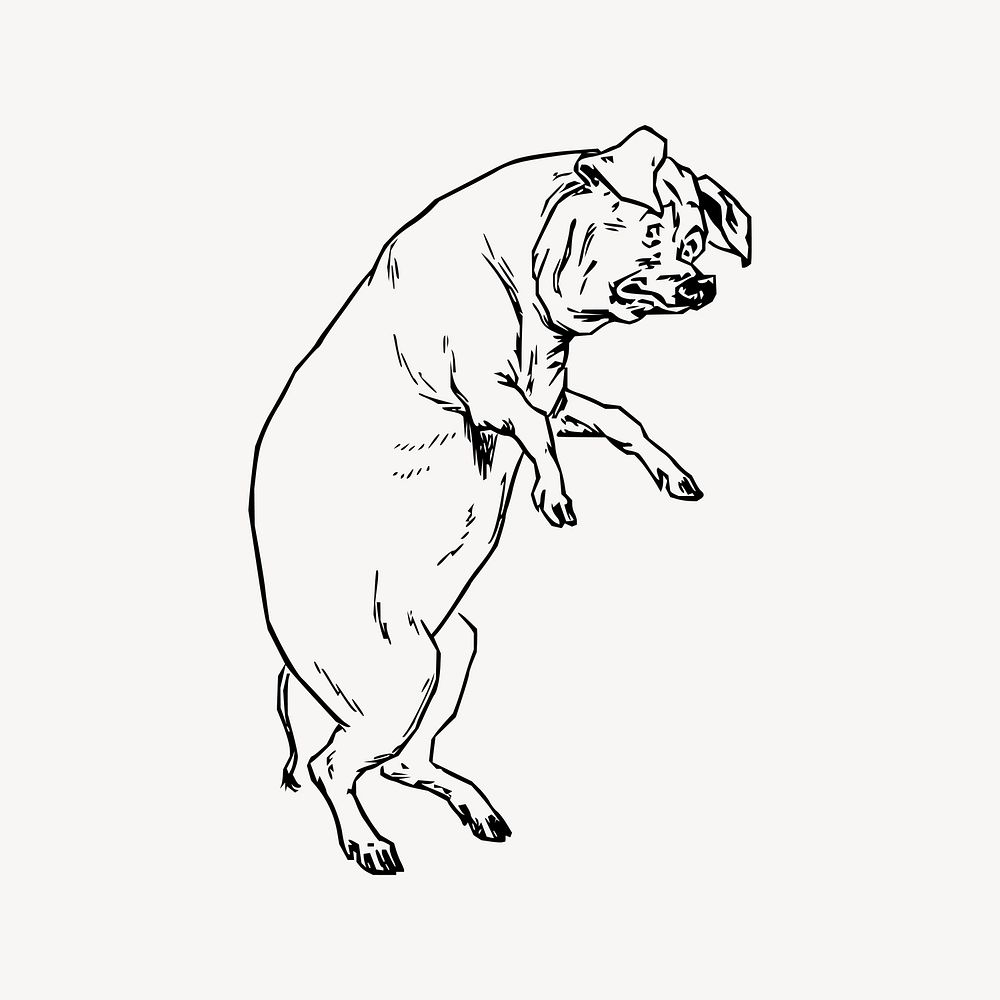Pig clipart, vintage illustration vector. Free public domain CC0 image.
