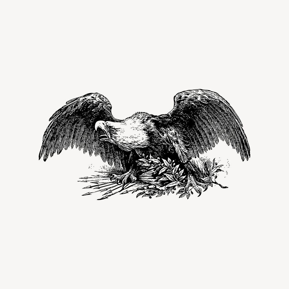 Eagle clipart, vintage illustration vector. Free public domain CC0 image.