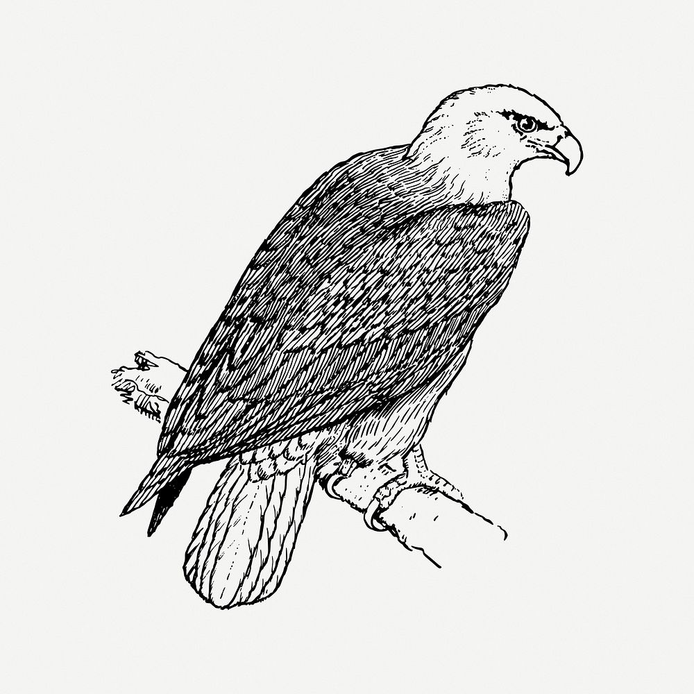 Eagle collage element, black & white illustration psd. Free public domain CC0 image.