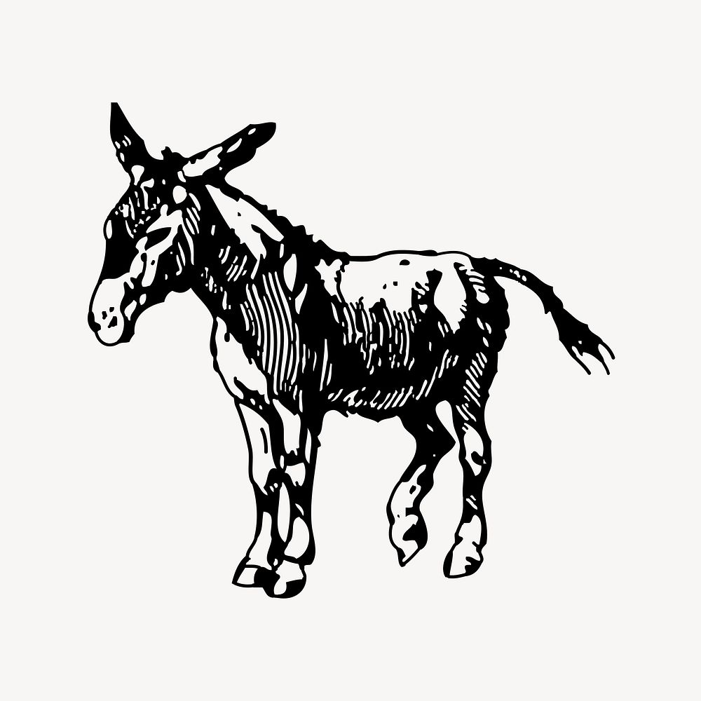 Donkey clipart, vintage illustration vector. Free public domain CC0 image.