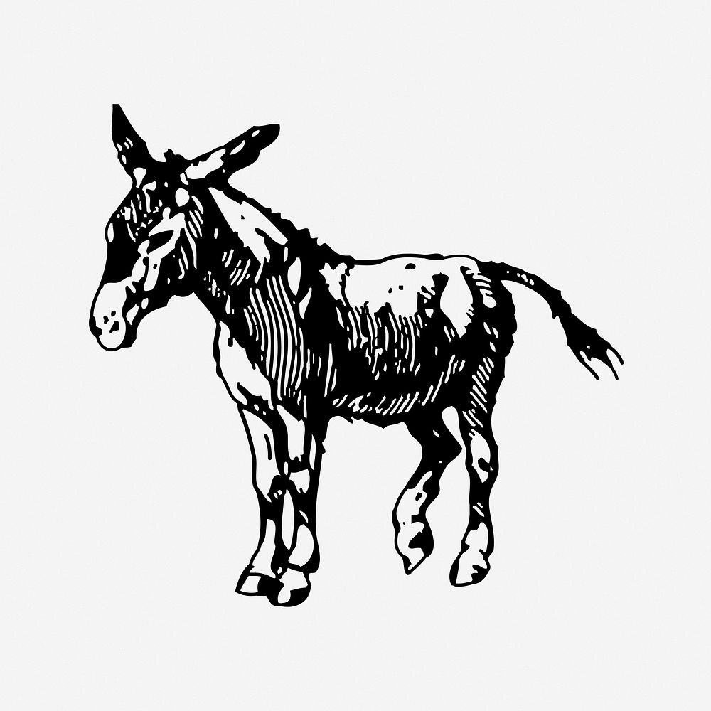 Donkey, black & white illustration. Free public domain CC0 image.