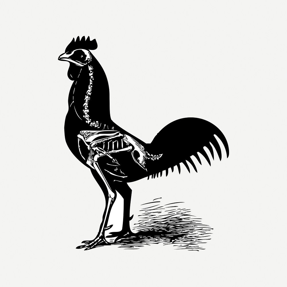 Chicken collage element, black & white illustration psd. Free public domain CC0 image.