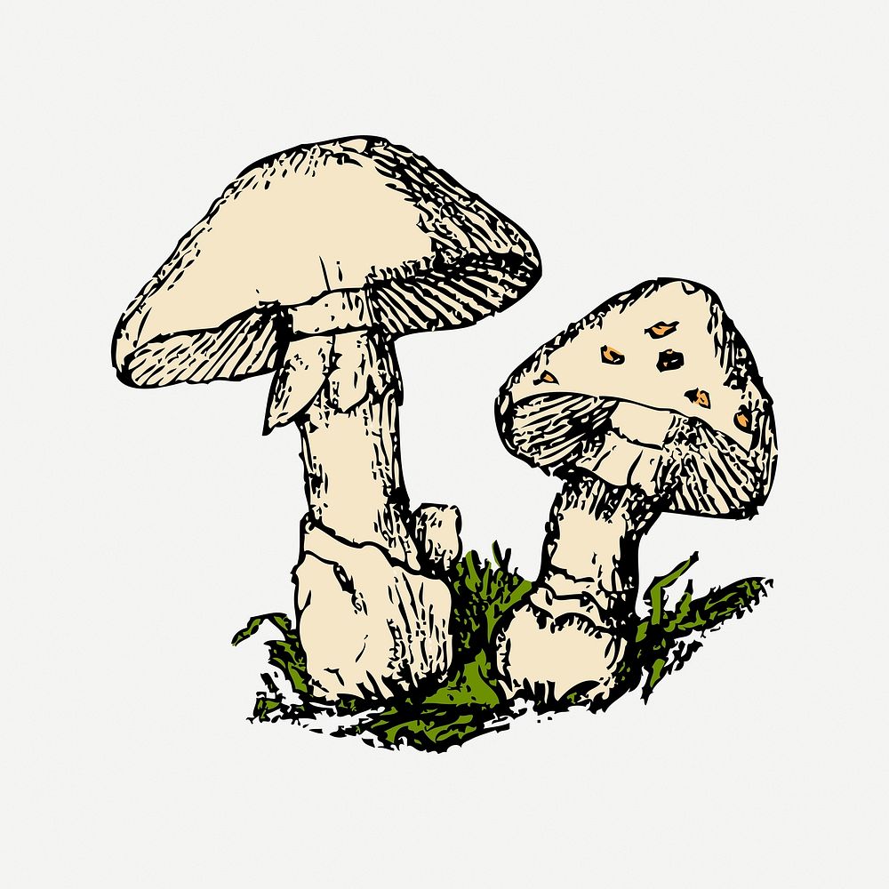 Mushroom collage element, vegetable illustration psd. Free public domain CC0 image.
