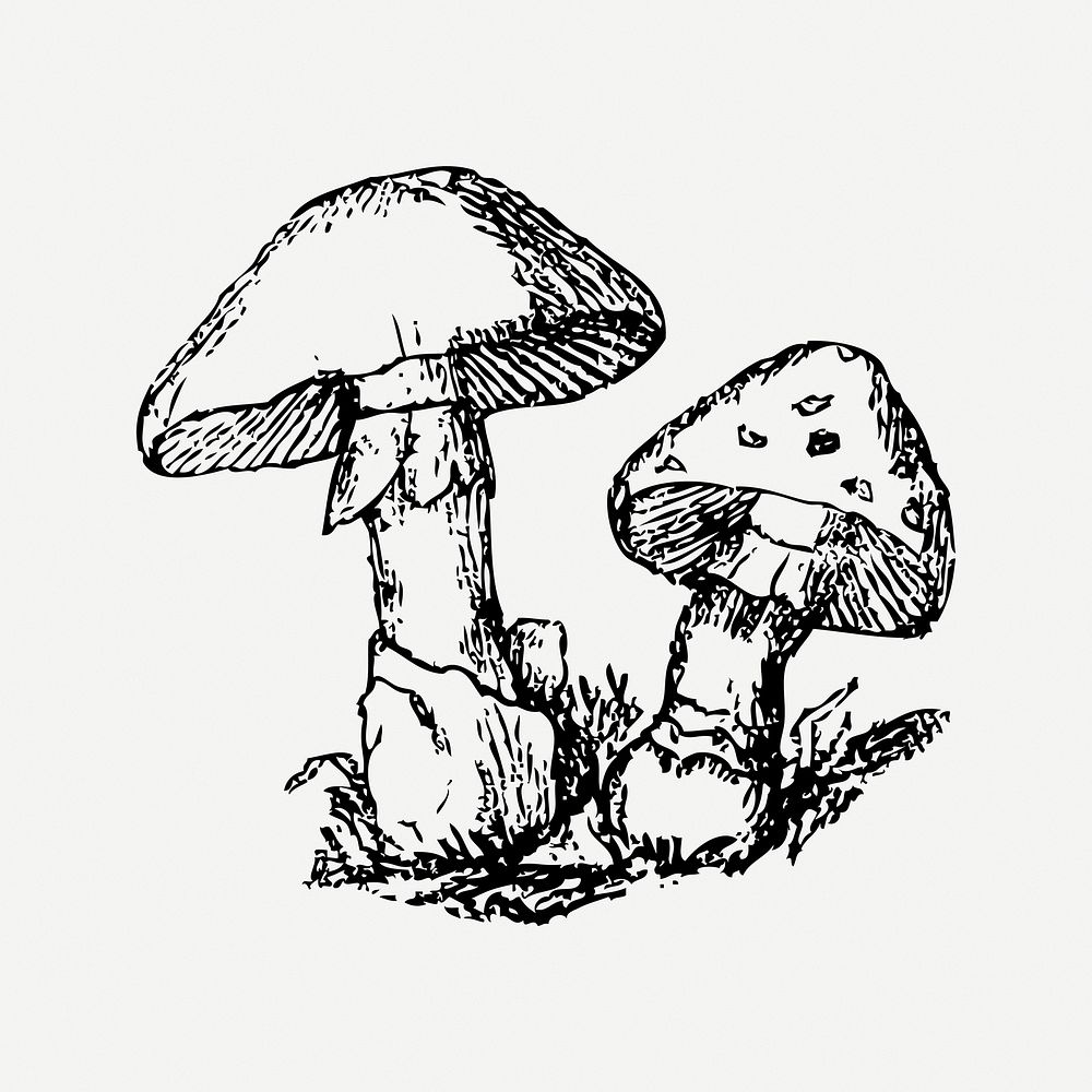 Mushroom collage element, black & white illustration psd. Free public domain CC0 image.