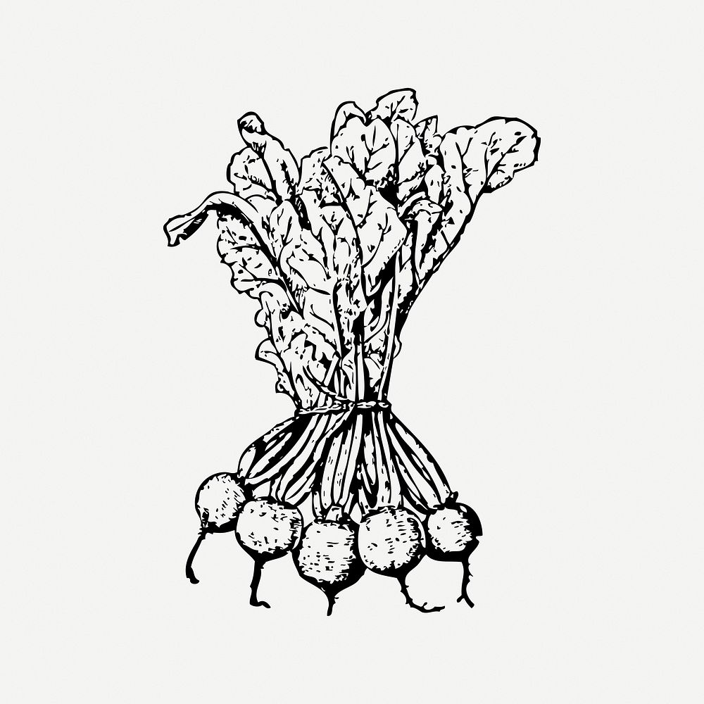Beets collage element, black & white illustration psd. Free public domain CC0 image.