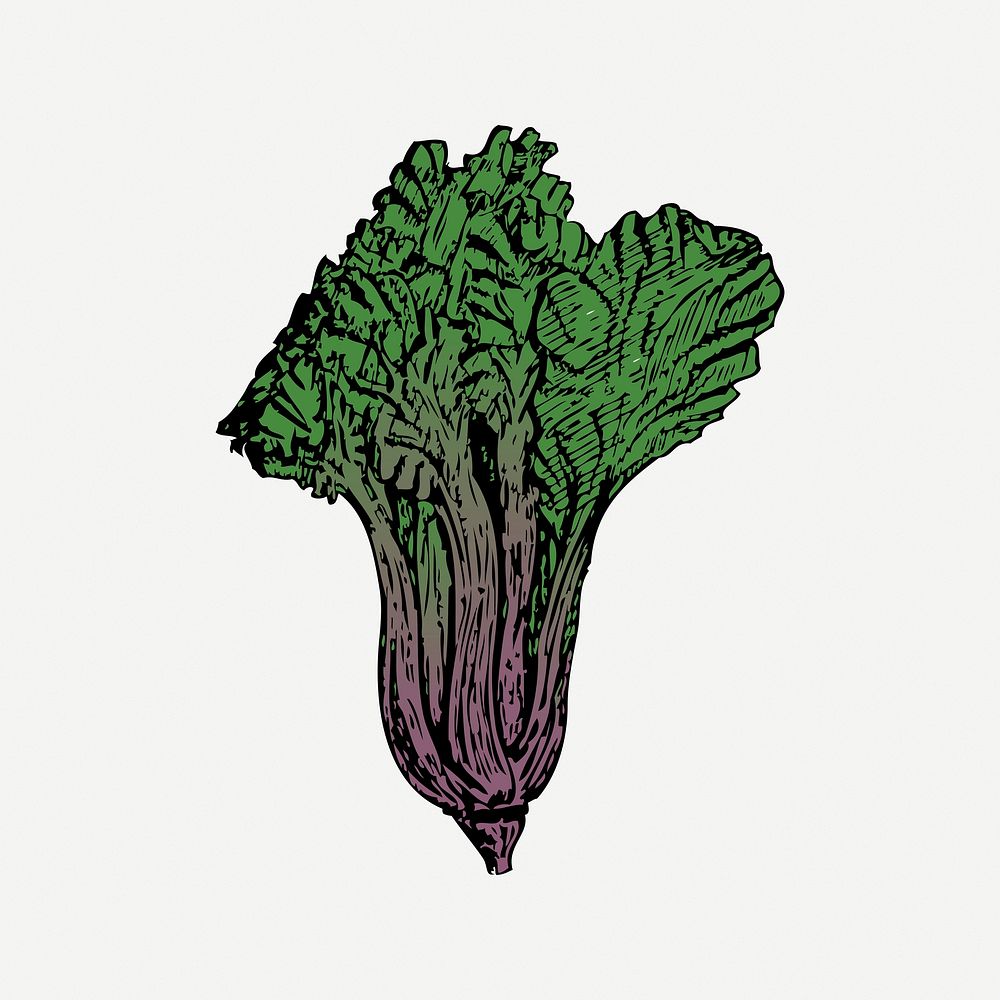 Vegetable collage element, drawing illustration Free PSD rawpixel