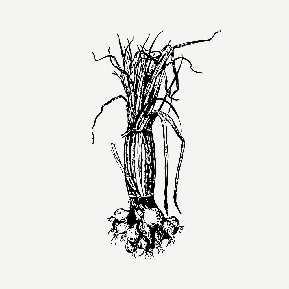 Onion collage element, black & white illustration psd. Free public domain CC0 image.