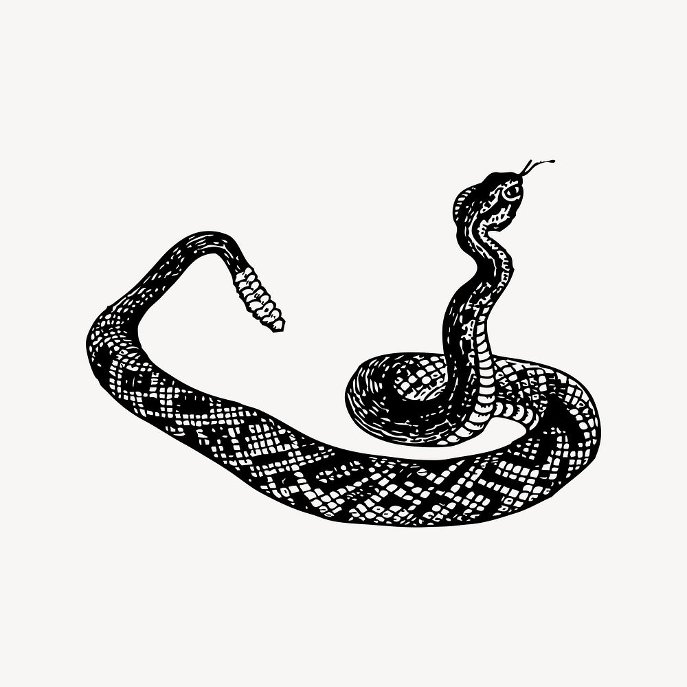 Snake clipart, vintage illustration vector. Free public domain CC0 image.