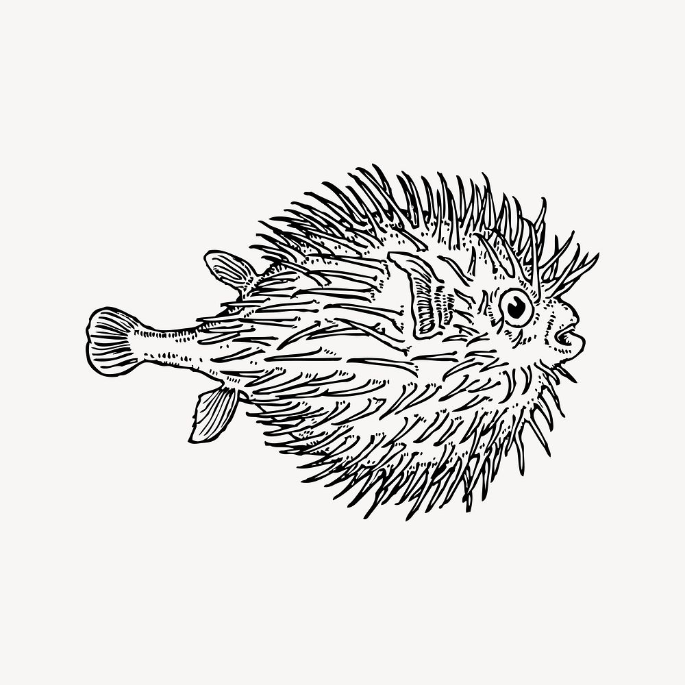 Blowfish clipart, vintage illustration vector. Free public domain CC0 image.