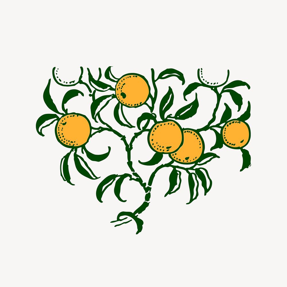 Orange clipart, vintage illustration vector. Free public domain CC0 image.