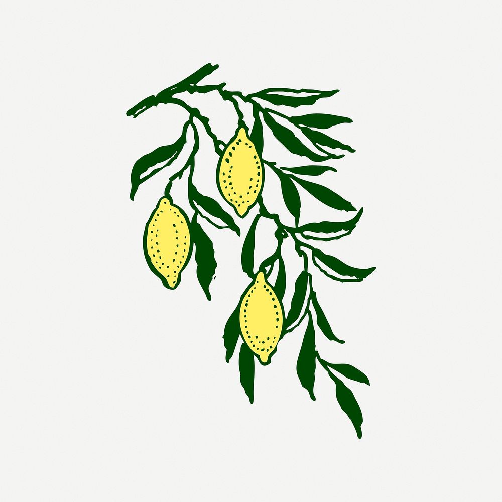 Lemon collage element, drawing illustration psd. Free public domain CC0 image.