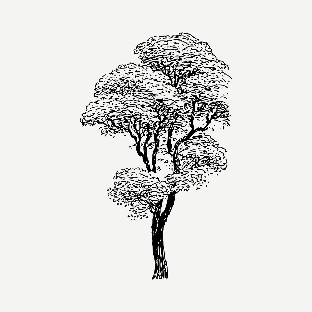 Tree collage element, black & white illustration psd. Free public domain CC0 image.