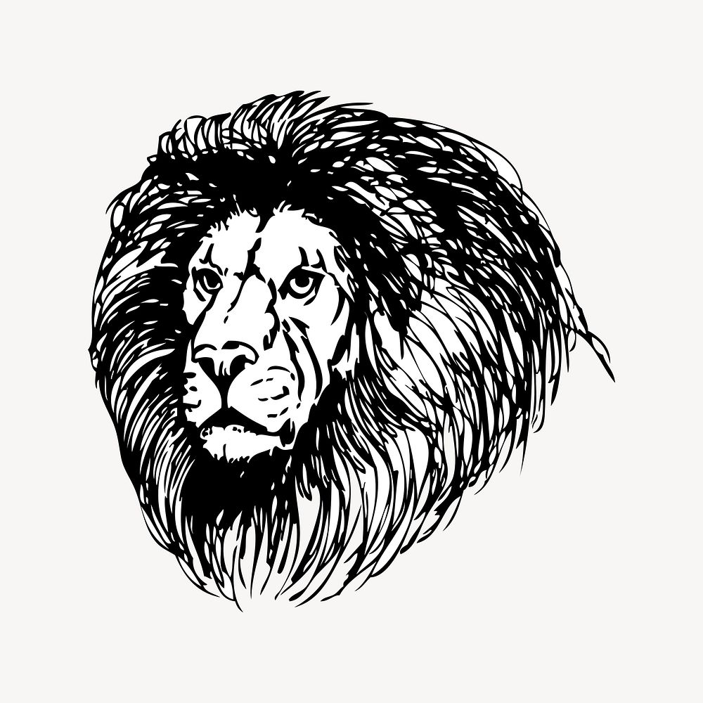 Lion clipart, vintage illustration vector. Free public domain CC0 image.