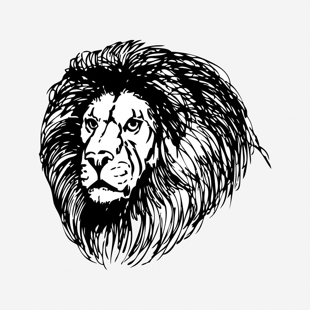 Lion, black & white illustration. Free public domain CC0 image.