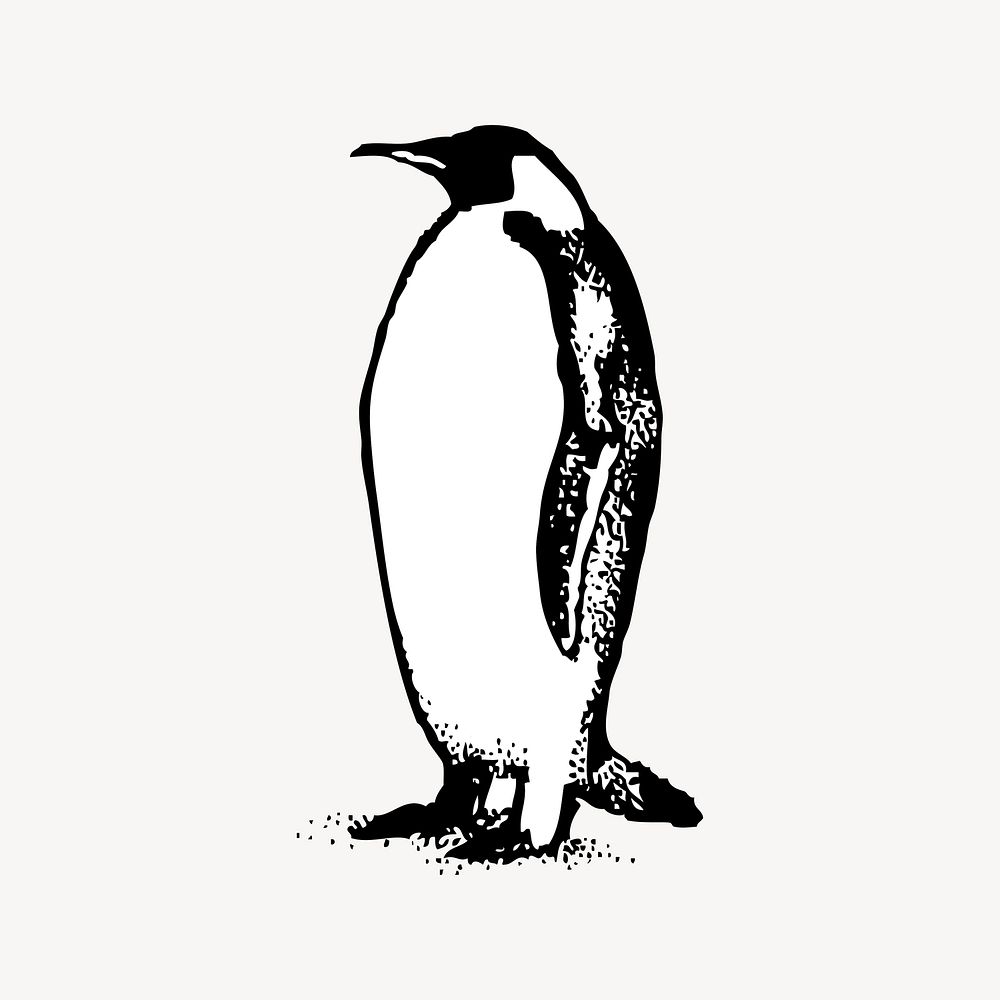 Penguin clipart, vintage illustration vector. Free public domain CC0 image.