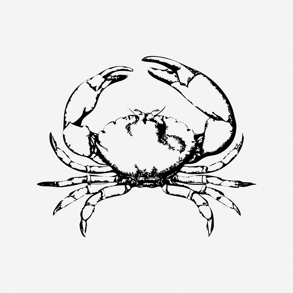 Crab, black & white illustration. Free public domain CC0 image.