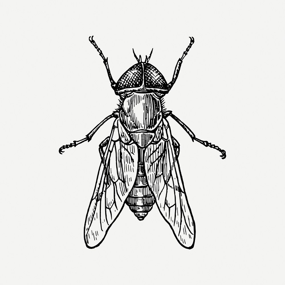 Fly collage element, black & white illustration psd. Free public domain CC0 image.