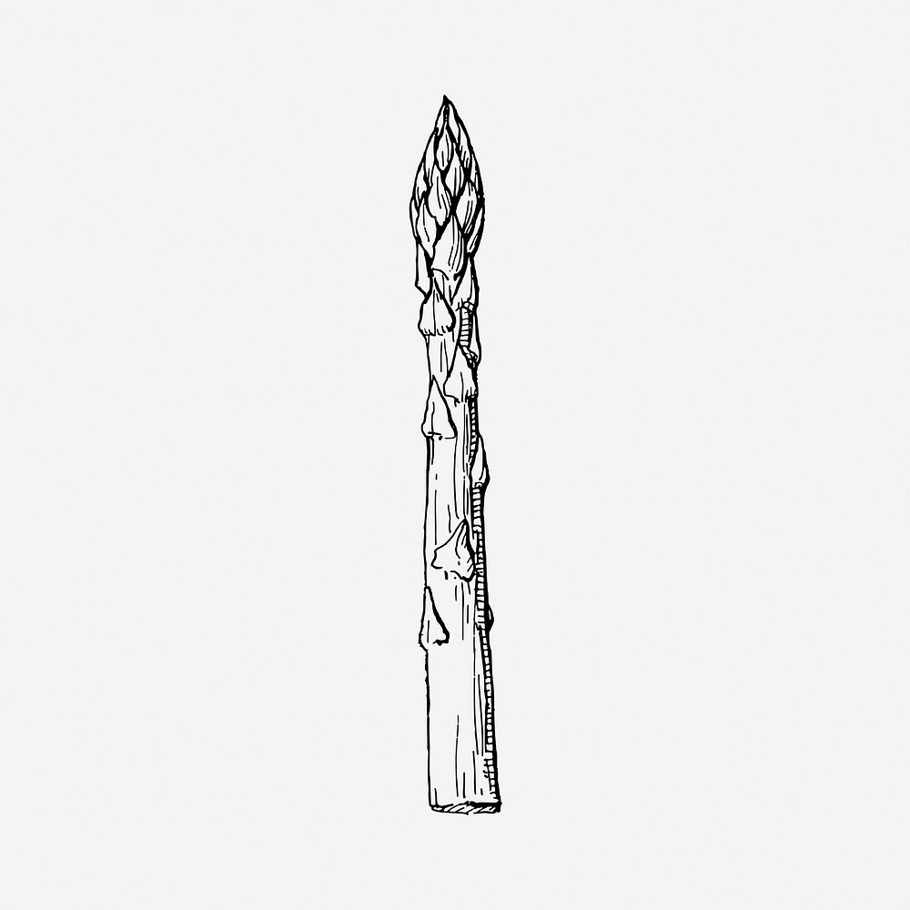 Asparagus collage element, black & white illustration psd. Free public domain CC0 image.